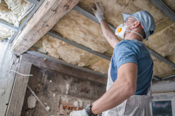 Best Spray Foam Insulation  in Roan Mountain, TN